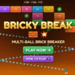Bricky Break